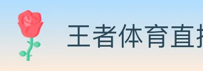 王者体育直播 logo